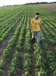 FEFAC SOY SOURCING GUIDELINES 2021