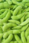 FEFAC SOY SOURCING GUIDELINES 2021