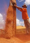 FEFAC SOY SOURCING GUIDELINES 2021