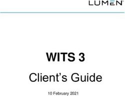 WITS 3 Client's Guide - 10 February 2021 - Lumen