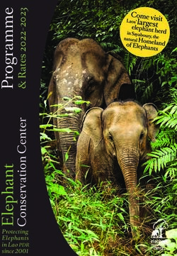 Protecting Elephants in Lao PDR since 2001 - Elephant Conservation Center