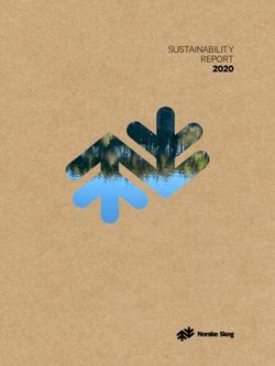 SUSTAINABILITY REPORT 2020 - Norske Skog