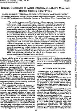 Immune Responses to Labial Infection of BALB/c Mice with Herpes Simplex Virus Type