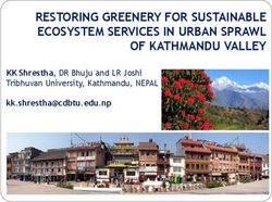 RESTORING GREENERY FOR SUSTAINABLE ECOSYSTEM SERVICES IN URBAN SPRAWL OF KATHMANDU VALLEY - KK Shrestha, DR Bhuju and LR Joshi Tribhuvan ...