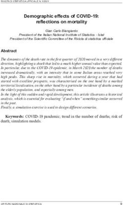 Demographic effects of COVID-19: reflections on mortality - Istat