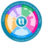 U-MULTIRANK 2020 Romanian Universities in Global Comparison - WWW.UMULTIRANK.ORG