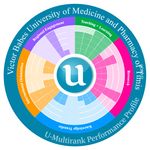 U-MULTIRANK 2020 Romanian Universities in Global Comparison - WWW.UMULTIRANK.ORG