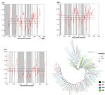 First Description of a Satellite DNA in Manatees' Centromeric Regions