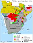 South African Action Plan for the Conservation of Cheetahs and African Wild Dogs