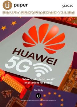5/2020 Who Controls Huawei? Implications for Europe