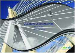 Dundrum Local Area Plan - Issues Paper November 2018 - Dun Laoghaire Rathdown ...