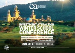 CONFERENCE WINTER SCHOOL INVESTMENT ATTRACTION - SUN CITY, SOUTH AFRICA - ICAZ