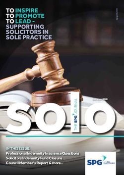 SoloSummer 2020 - TO INSPIRE TO PROMOTE TO LEAD - SUPPORTING SOLICITORS IN SOLE PRACTICE