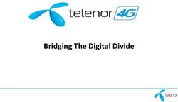 Bridging The Digital Divide