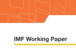 WP/19/17 Innovation and Corporate Cash Holdings in the Era of Globalization - IMF