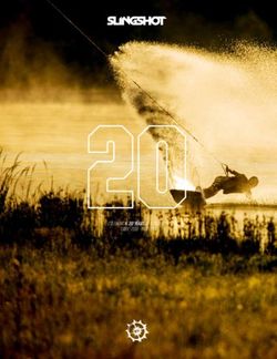 CELEBRATING 20 YEARS OF SLINGSHOT 1999 2019 - FOREVER