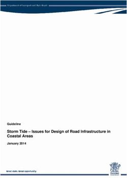 Storm Tide - Issues for Design of Road Infrastructure in Coastal Areas - Guideline