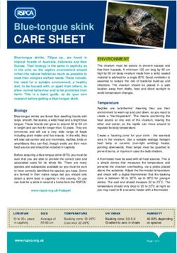 CARE SHEET Blue-tongue skink - rspca