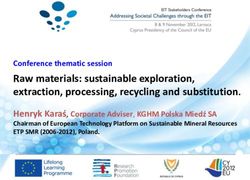 Raw materials: sustainable exploration, extraction, processing, recycling and substitution.