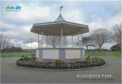 BLACKROCK PARK SITE ANALYSIS 2020 - D&uacute;n Laoghaire-Rathdown County Council