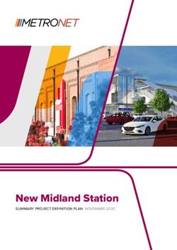 New Midland Station SUMMARY PROJECT DEFINITION PLAN NOVEMBER 2020 - Metronet