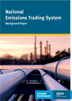 National Emissions Trading System - Background Paper - DEHSt