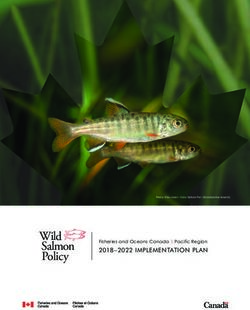 Wild Salmon Policy 2018 -2022 IMPLEMENTATION PLAN - Fisheries and Oceans Canada Pacific Region - Fisheries and Oceans Canada | Pacific Region