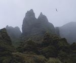 Macquarie Island: from rabbits and rodents to recovery and renewal