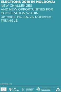 ELECTIONS 2019 IN MOLDOVA: NEW CHALLENGES AND NEW OPPORTUNITIES FOR COOPERATION WITHIN UKRAINE-MOLDOVA-ROMANIA TRIANGLE