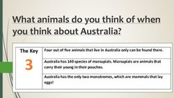 3 What animals do you think of when you think about Australia? - Barwell C of E Academy