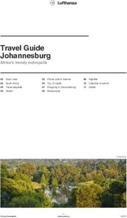 Travel Guide Johannesburg - Africa's trendy metropolis