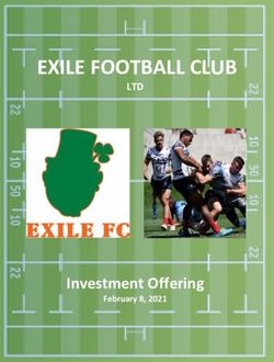 EXILE FOOTBALL CLUB - Investment Offering - LTD - Dakin Capital LLC