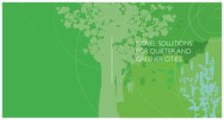 NOVEL SOLUTIONS FOR QUIETER AND GREENER CITIES