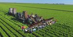 LAKE OKEECHOBEE SYSTEM OPERATING MANUAL (LOSOM) - JEREMY MCBRYAN, PE, CFM COUNTY WATER RESOURCES MANAGER JULY 22, 2021 - PALM ...