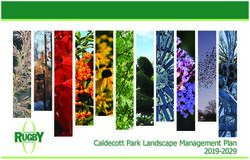 Caldecott Park Landscape Management Plan 2019-2029
