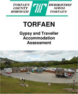 TORFAEN Gypsy and Traveller Accommodation Assessment - Torfaen ...