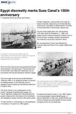 Egypt discreetly marks Suez Canal's 150th anniversary - Phys.org