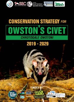 OWSTON'S CIVET CONSERVATION STRATEGY FOR 2019 - 2029 - ENGLISH