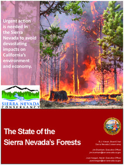 The State of the Sierra Nevada's Forests