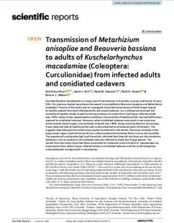 Transmission of Metarhizium anisopliae and Beauveria bassiana to adults of Kuschelorhynchus macadamiae (Coleoptera: Curculionidae) from infected ...