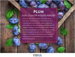 PLUM 2020 FLAVOR INSIGHT REPORT