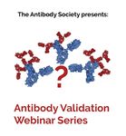 Antibodies to watch in 2020 - PEGS Europe, Lisbon November 20, 2019 Janice M. Reichert, Ph.D. Executive Director, The Antibody Society - of The ...
