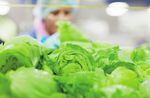 Biocides Regulation Breakthrough - Chilled Food Association