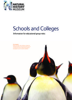 Schools and Colleges Information for educational group visits - Group for Education in Museums