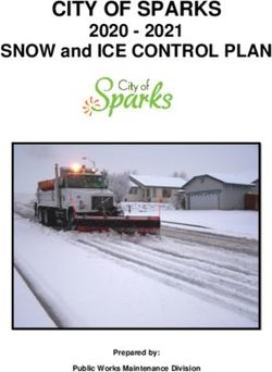 CITY OF SPARKS 2020 - 2021 SNOW and ICE CONTROL PLAN