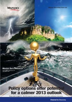 Policy options offer potential for a calmer 2013 outlook - Mizuho Asia Research