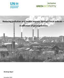 Reducing pollution and health impacts through fiscal policies - A selection of good practices - Working Paper