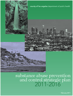 Substance abuse prevention and control strategic plan - county of los angeles department of public health