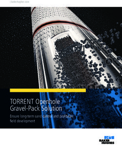 TORRENT Openhole Gravel-Pack Solution - Ensure long-term sand control and profitable field development