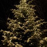 MERRY CHRISTMAS & A HAPPY NEW YEAR